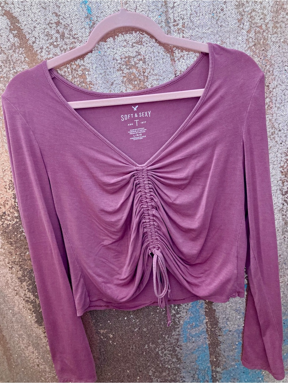 American Eagle Outfitters Mauve Ruched V-Neck Long Sleeve Top